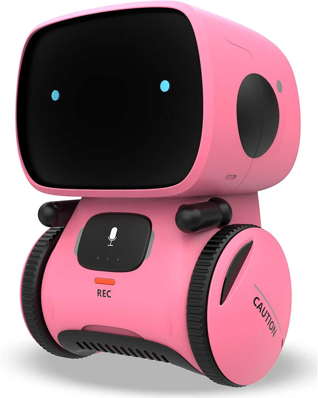 RoboPal™ Interactive Robot